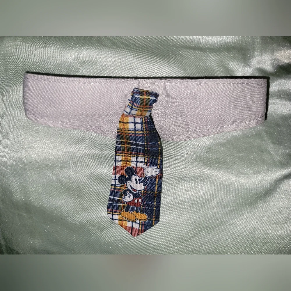 Disney tails adjustable large dog collar with removable mickey tie